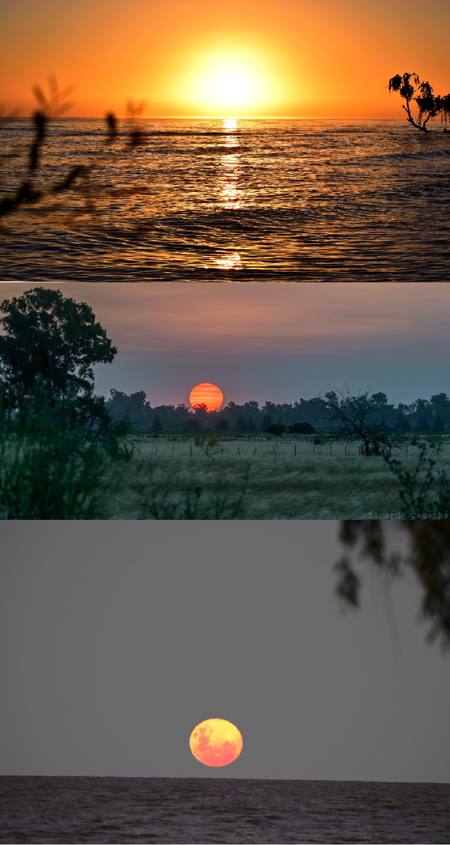 El susurro del río en la sangre de los abuelos