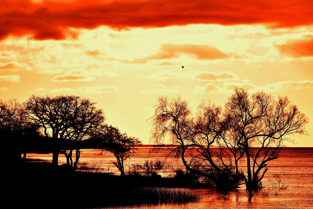 Atardeceres Destemplados