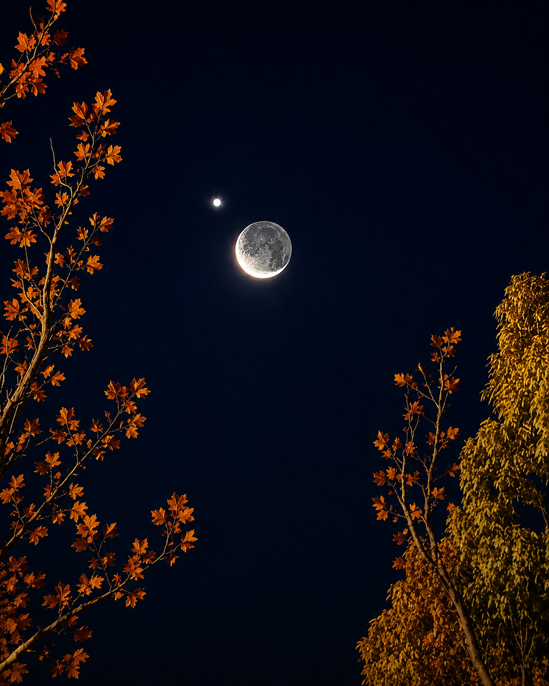 La Luna y Venus