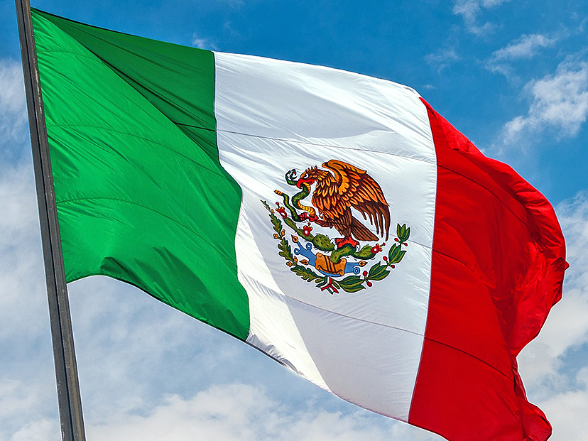 Colectividad Mexicana