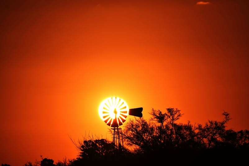 Camino Real, Los Talas: Donde el sol besa la tierra y el molino vigila.