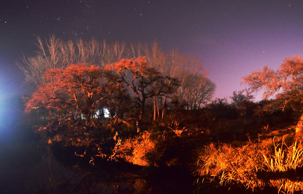 Noches de Invierno