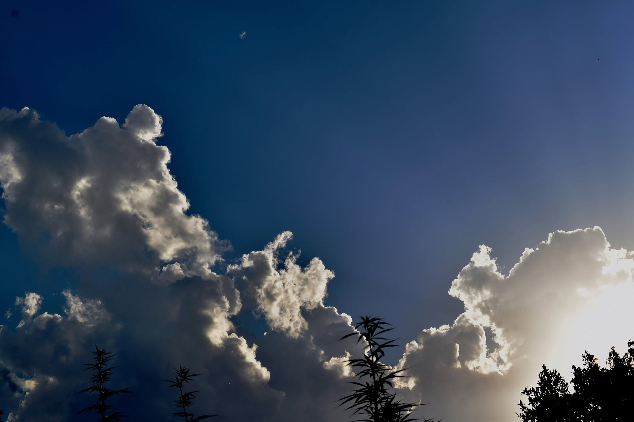 Nubes en la Ciudad