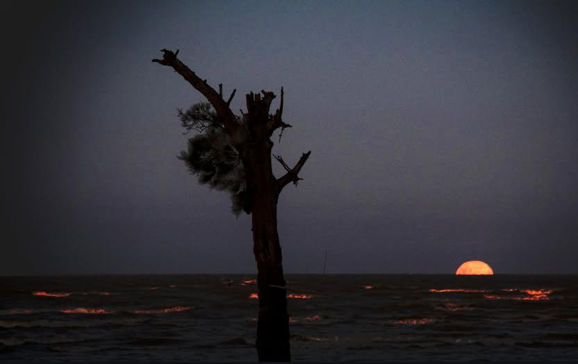 Palo de fuego...Luna de verano.